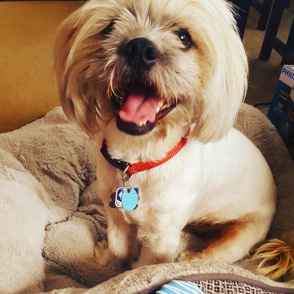 MEET YOUR BUYER/SELLER πΆπ±π¦ππ - Picture 3 of 3